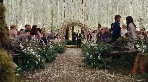 Googling For Your Wedding: Twilight Wedding Scene