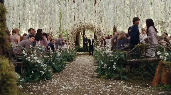 Twilight Wedding Scene