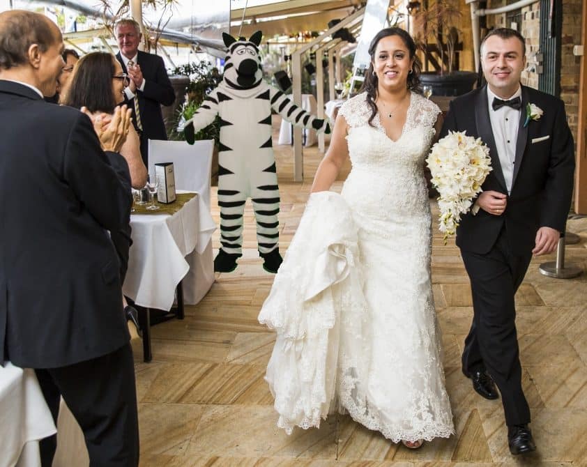 Furry Wedding Planner: Bridal Couple Entrance Zebra John Oliver Last Week Tonight