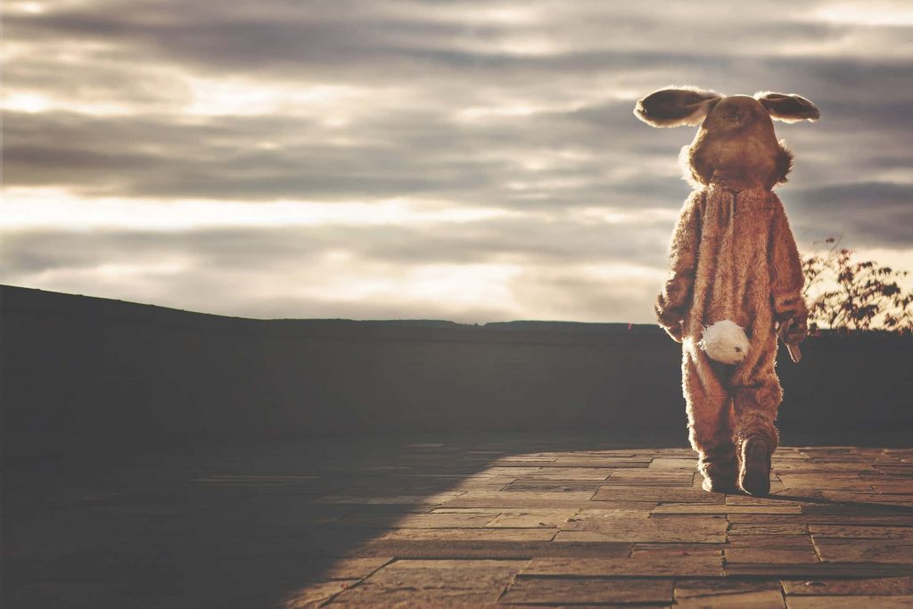 Furry Wedding Planner: Single rabbit looking into the sunset