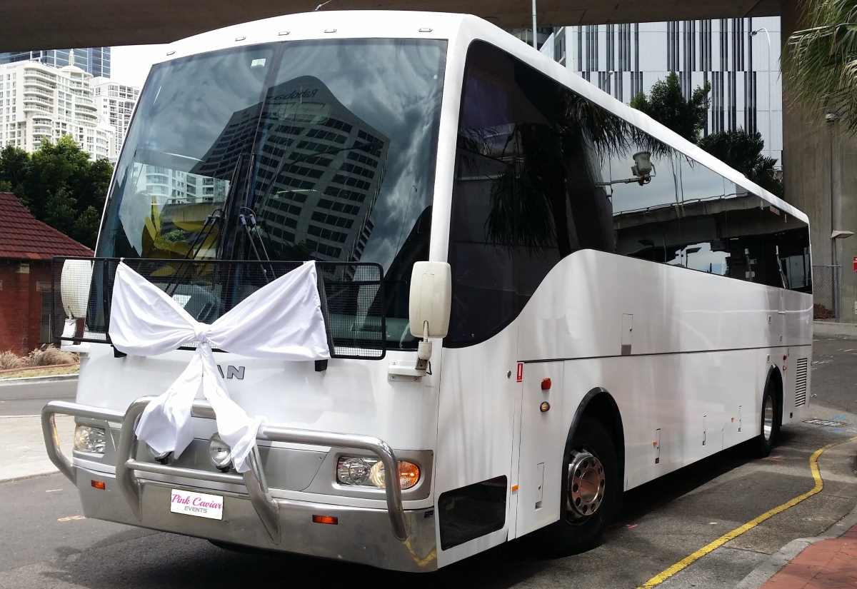 Group Wedding Transport Tips: White Wedding Coach White Bow
