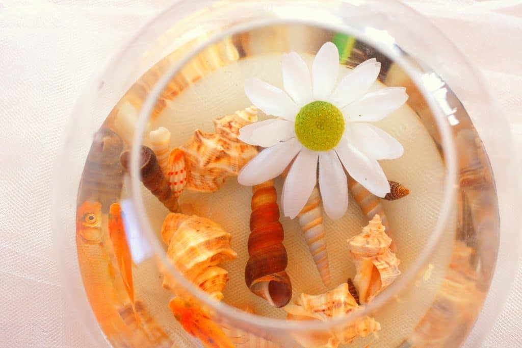 Fish Centrepieces Sea Shells White Flowers