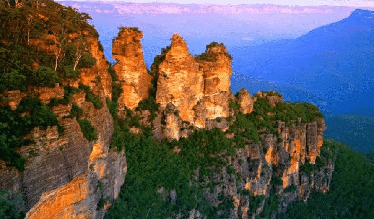 Blue Mountains Wedding Planner