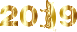 Year Of The Dog 2019 Chinese New Year