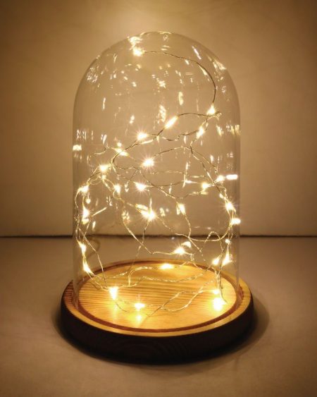 Bell Jar with LED lights