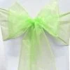 Organza Chair Sash - Apple Lime Green