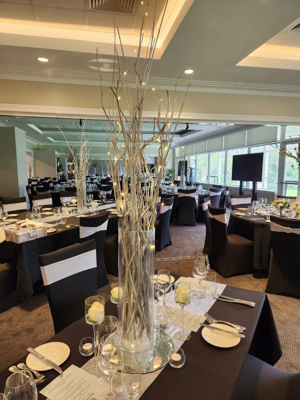 Silver Willow with lights in vase