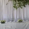 White Backdrop