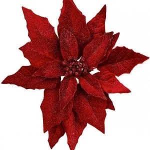 Red Poinsettia
