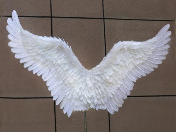 White Feather Angel Wings