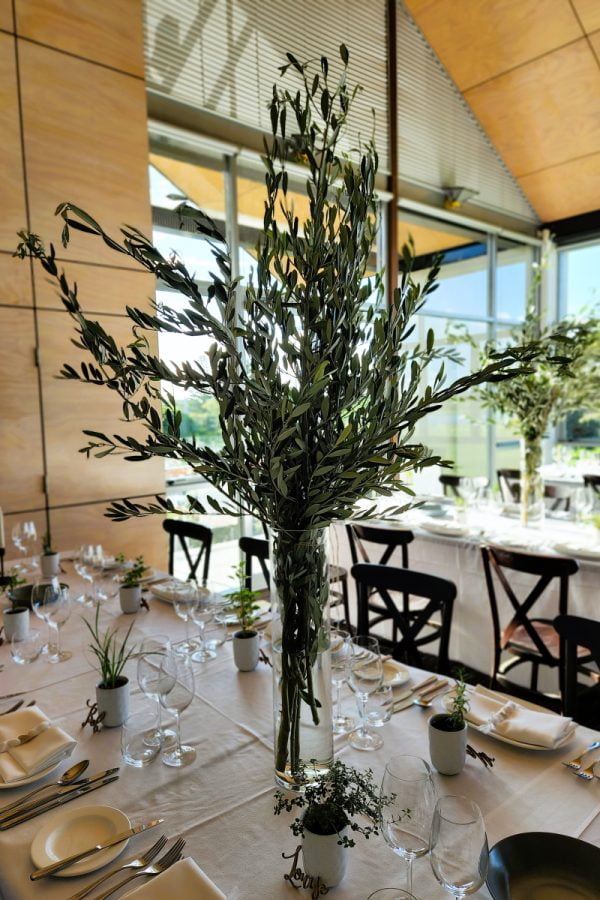 Olive branches in a tall vase