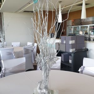 Silver Willow with Poinsettias