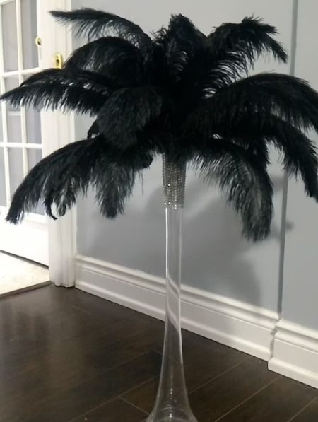 Black Feathers in Tall Vase