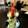 Cylinder Duo with Flowers and Glass Stems