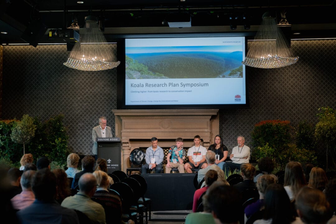 Koala Symposium stage shot