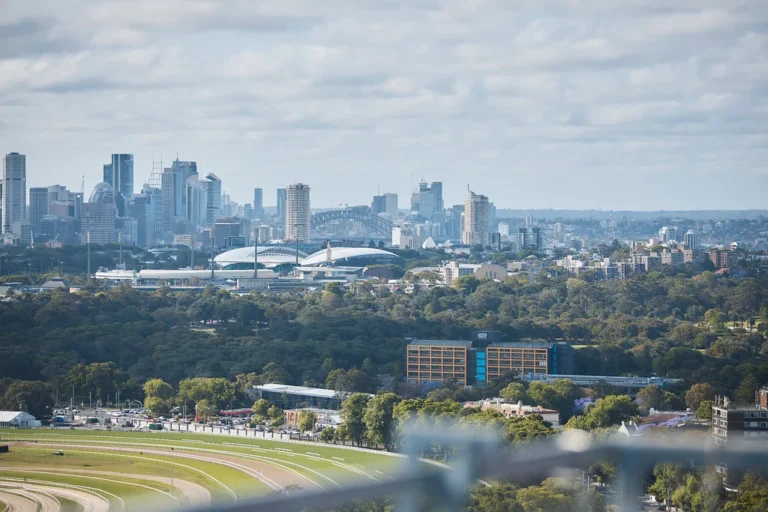 Sydney Skyline Rooftop View