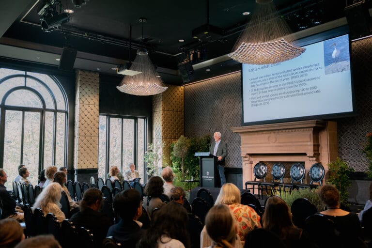 Koala Symposium stage