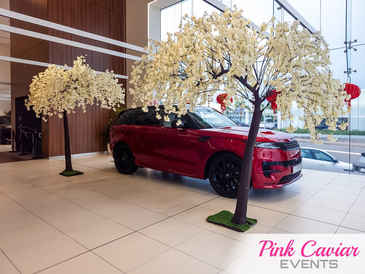 Car Launch Event
