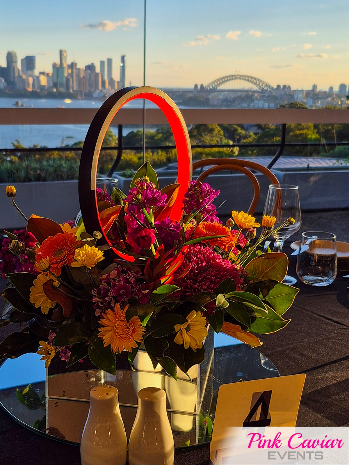 Ring Lights with View Sydney Harbour