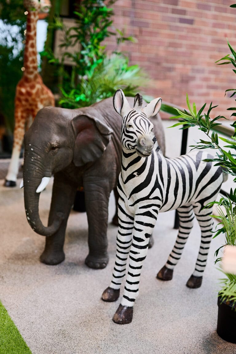 Jungle Themed Event Sydney