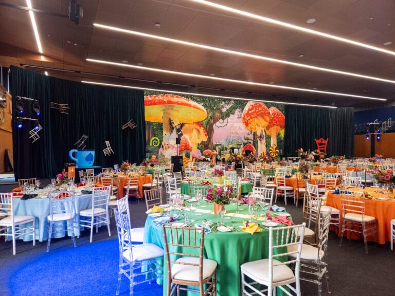 Sydney Stylist for Themed Events